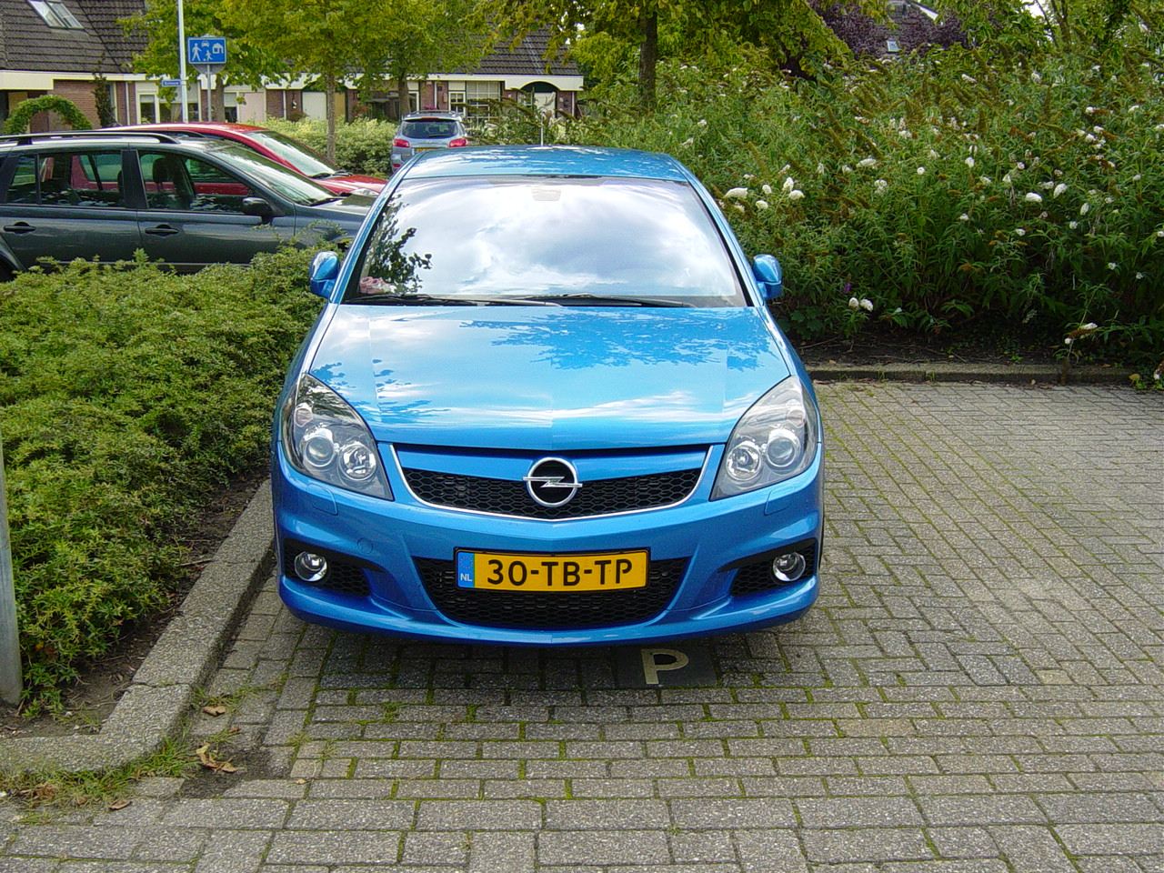 2006 Opel Vectra OPC 3